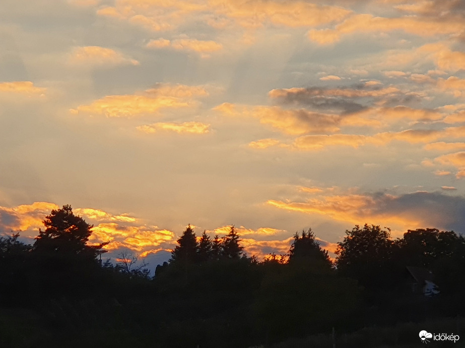 Napnyugta utáni erdei sziluett