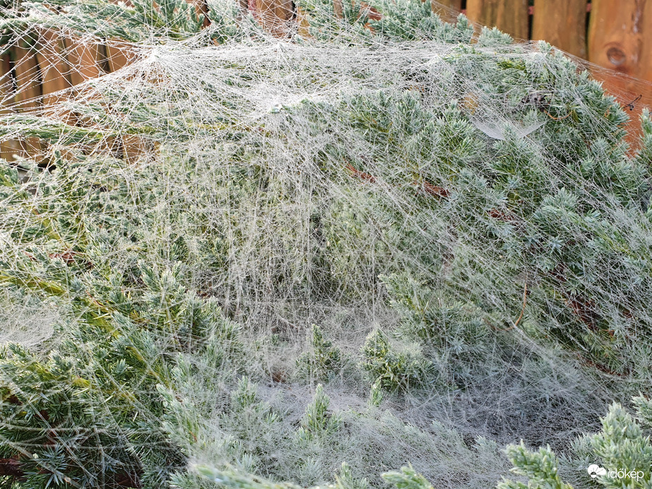 Ezt kicsit túltolták...