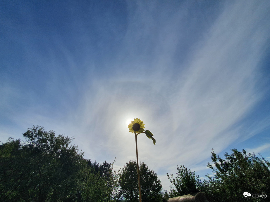 Szerda délelőtti naphalo