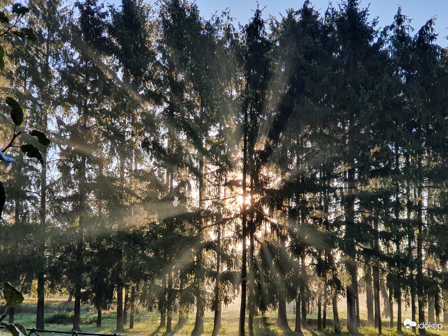 Napsugaras szerda reggel(t)