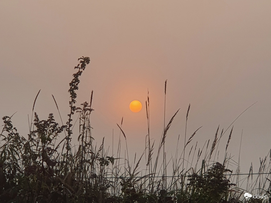 Ködös pénteki napkelte