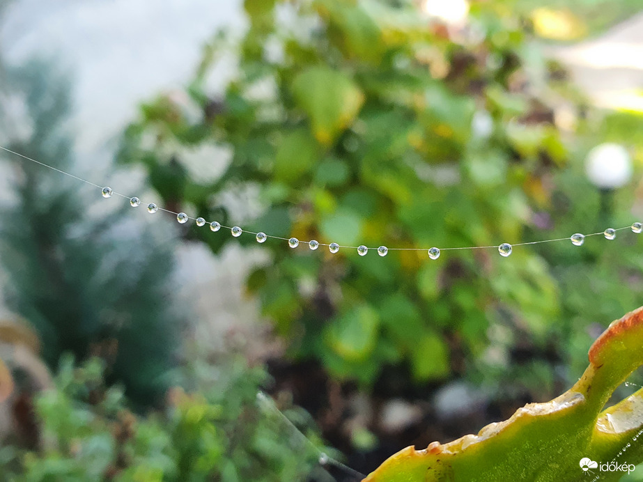 ...egy hajszálon múlt a vasárnapi jó idő