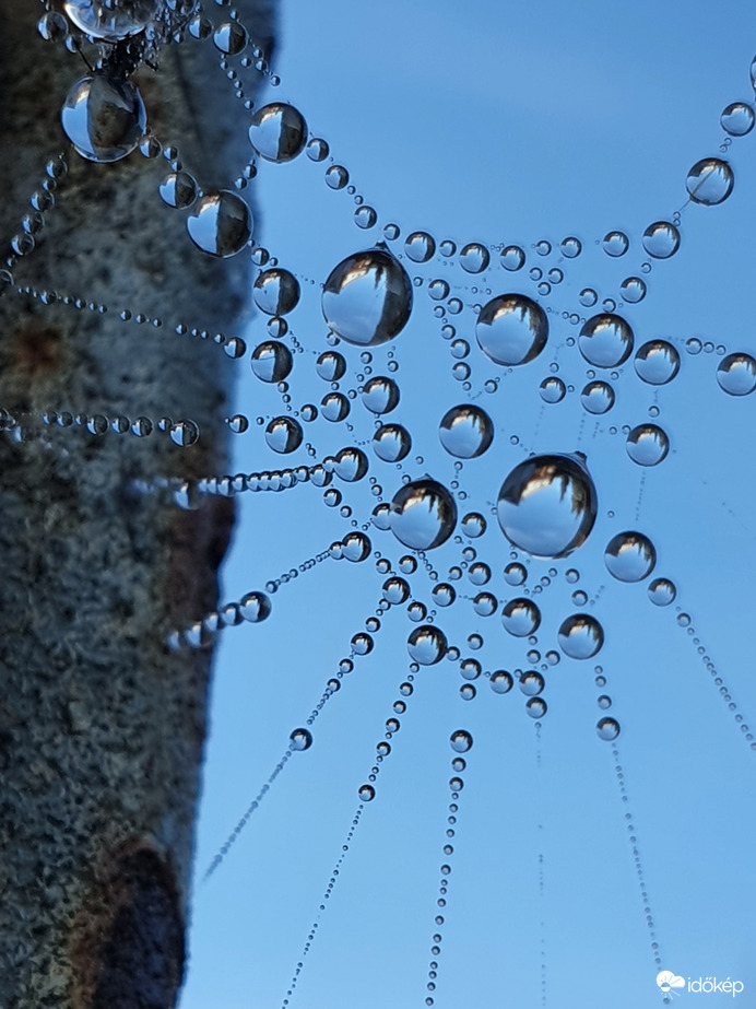 Harmatos vasárnap reggel(t)