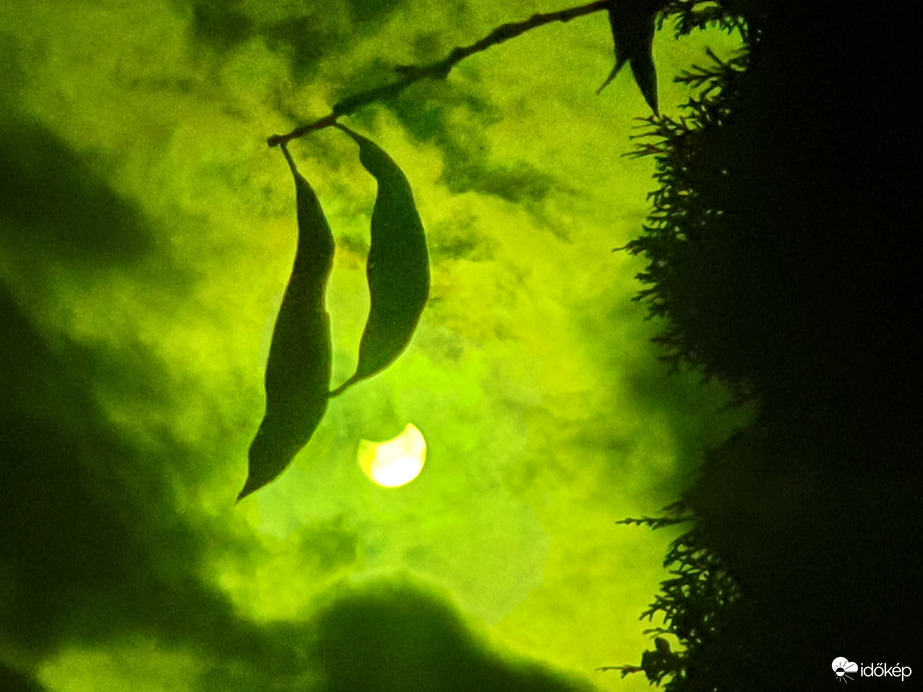 Részeges napfogyatkozás ❤️