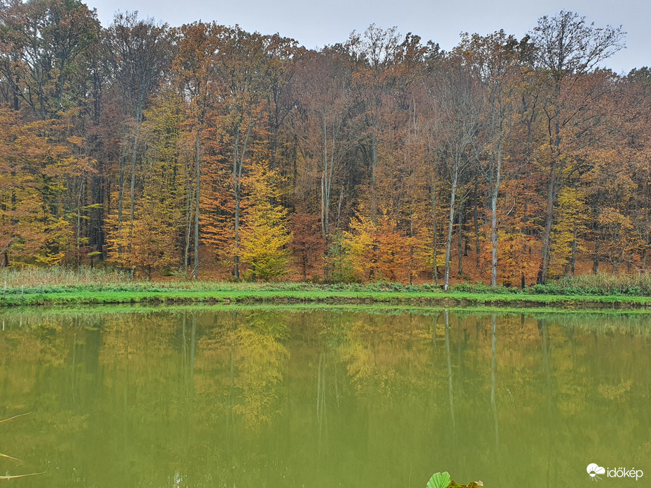 Morci vasárnap a barlahidai halastón