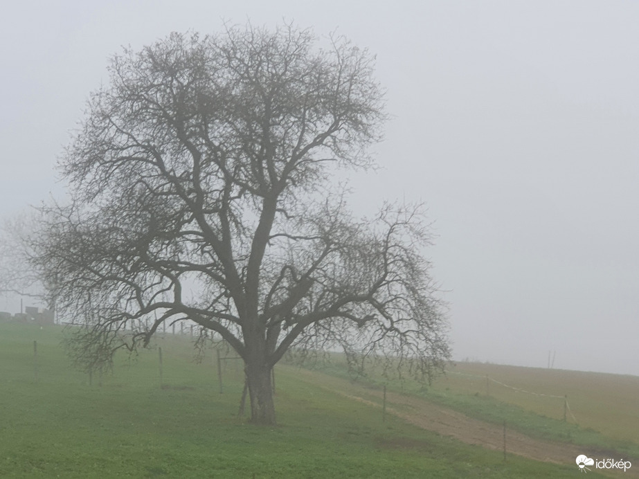A köd...