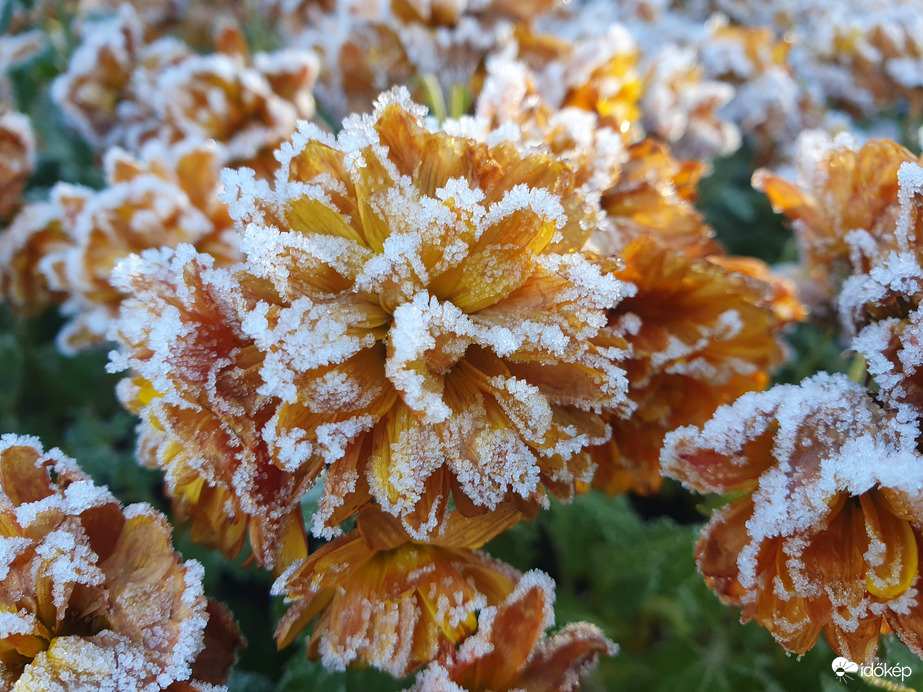 13 órakor sem tűnt el még a reggeli fagy nyoma