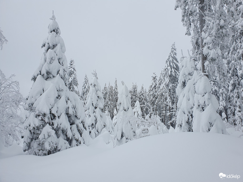 Maribor-Pohorje...mesebeli erdő❄️❤️