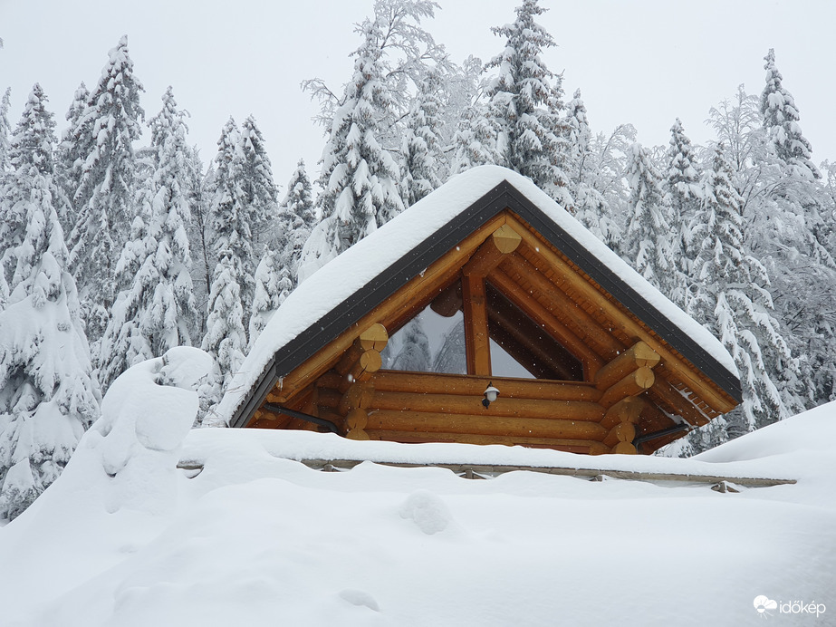Zelena vas Rusevec...avagy téli meseház az erdőben❄️❤️
