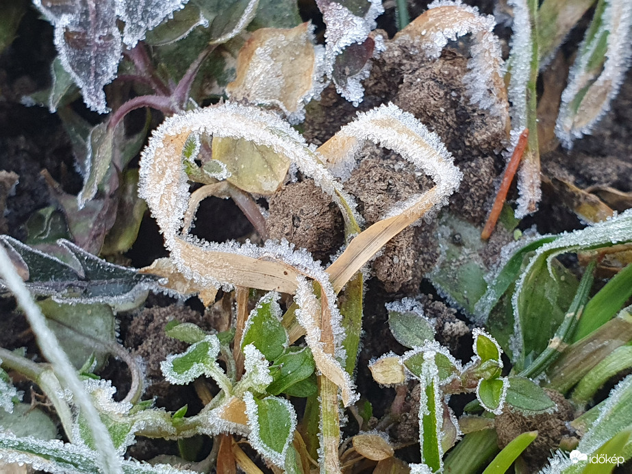 Romantikus hangulatban ❤️