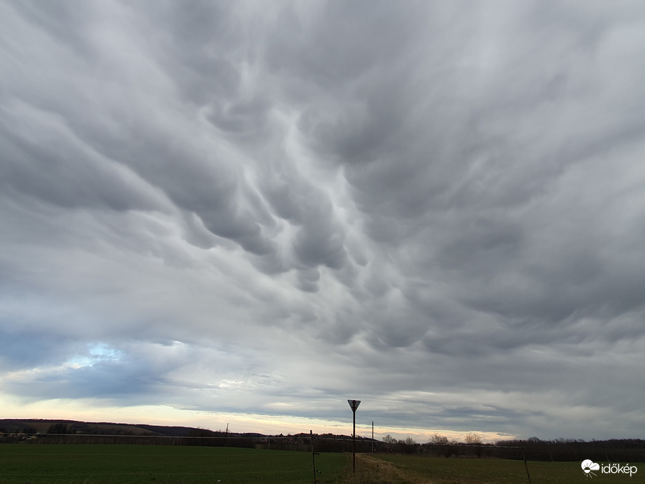 Elsőbbséget élvező mammatusok Nagylengyel határában