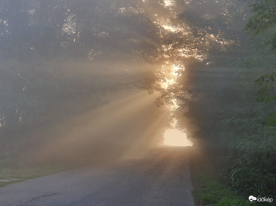 Napsugaras szép reggelt!