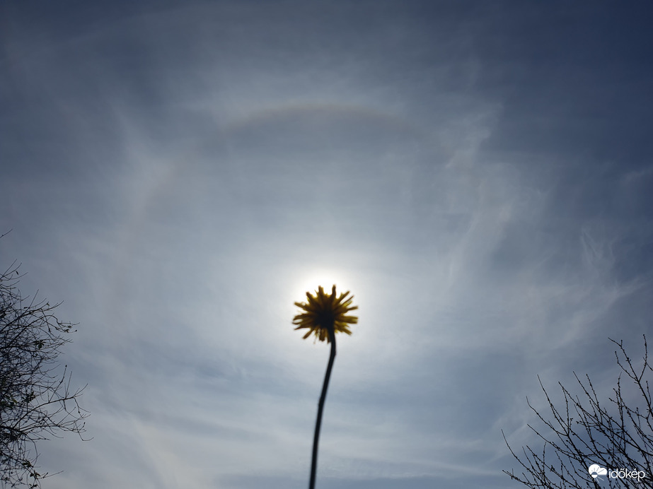 10 perccel később már szépen gömbölyödik❤️