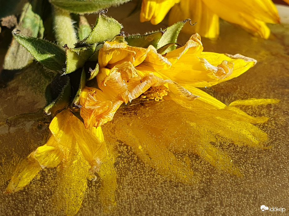 Jégbe zárt elmúlás