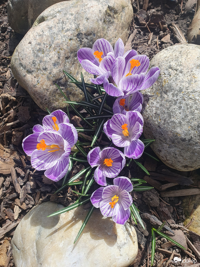 Mi is csatlakoztunk a tavaszhoz❤️