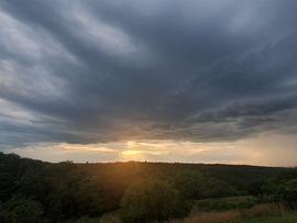 Rés a pajzson