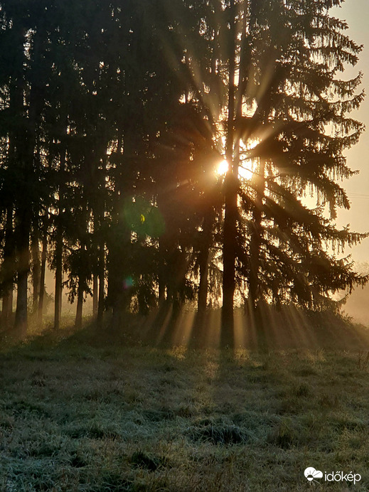 Napsugaras reggel 11.06.