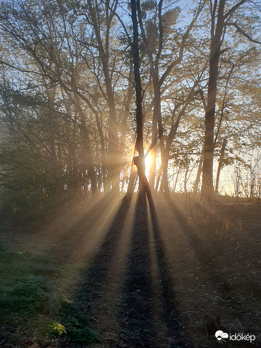 Pénteki reménysugarak