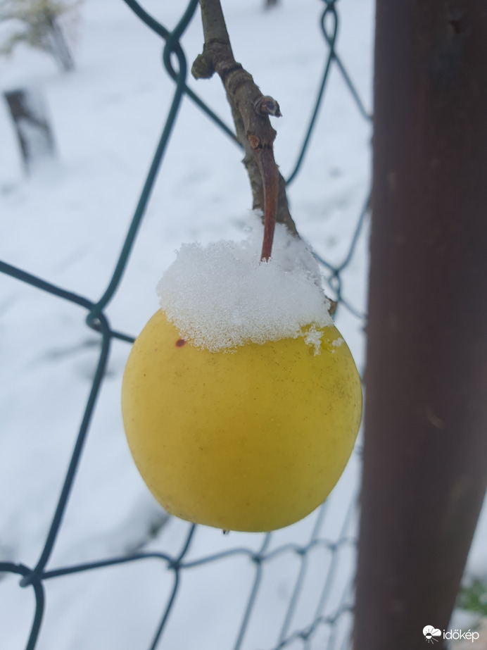 Veszem kalapom...ha már nem szedtél le