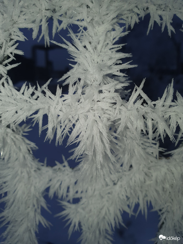 Zúzmarás szép jó reggelt!❄️