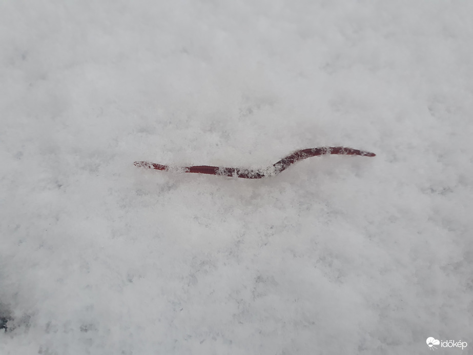 Amikor az időjárás megtréfál