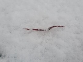 Amikor az időjárás megtréfál