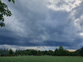 Mai felgőszörnyecske