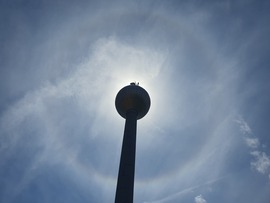 Csütörtöki haló