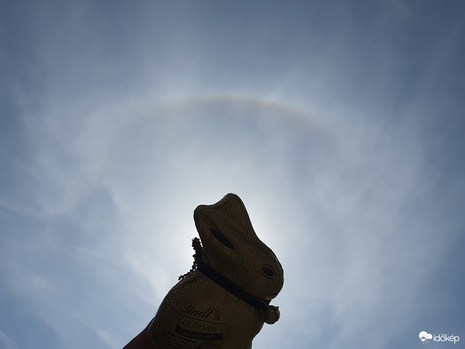 Égi ajándék nyuszitól ;)