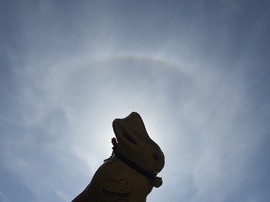 Égi ajándék nyuszitól ;)