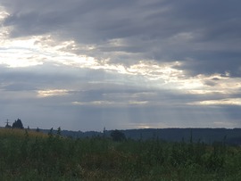 Szeptemberi esős kezdet utáni reggel