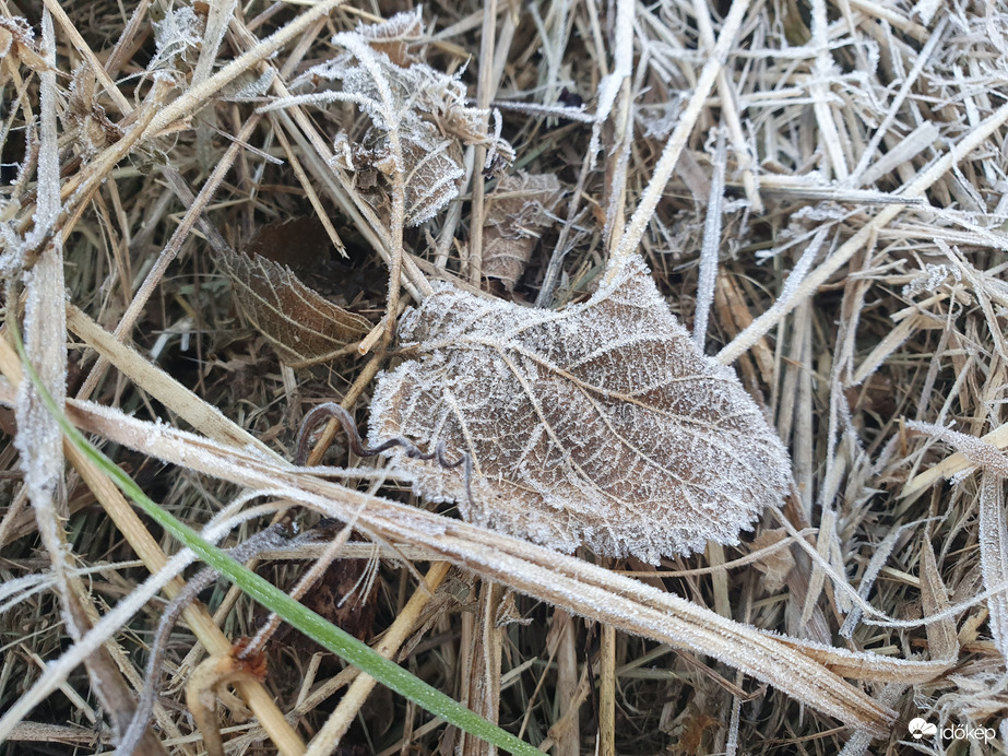 Az első hóharmatunk❄️