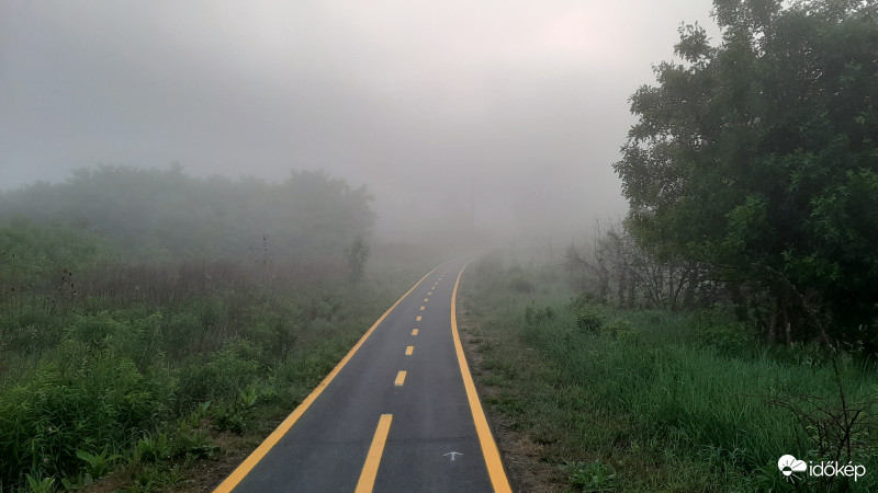 Hajnali ködös. 