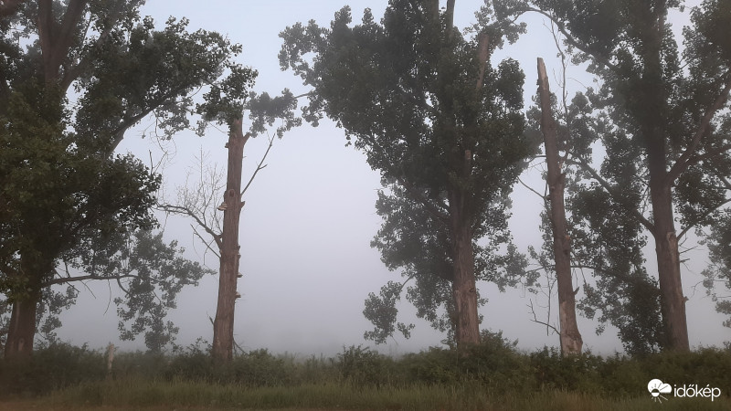 Hajnali ködös. 