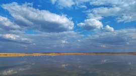 Tisza-tó 