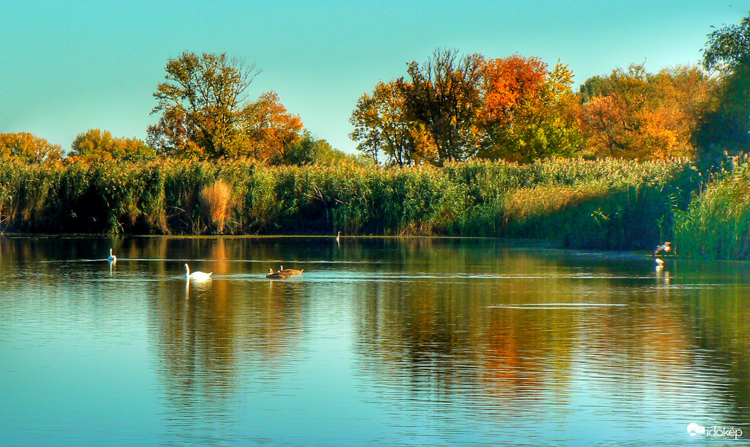 Tisza 