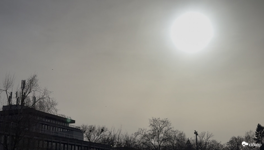 Szaharai por Bonn-ból