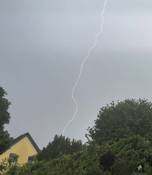 Hatalmas villám vágott bele egy fába Bonnban