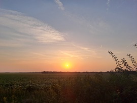 Nyáresti hangulat