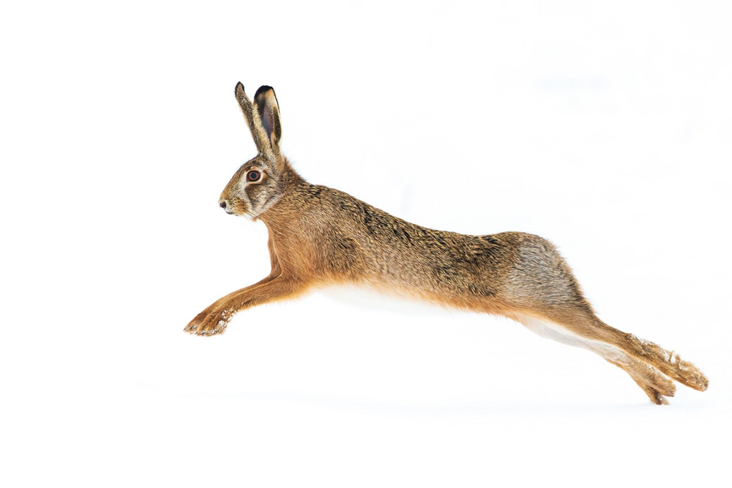 Egy picit behavaztunk