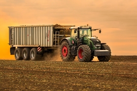 Cukorrépa betakarítás III.