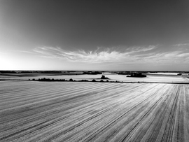 Nyári horizont