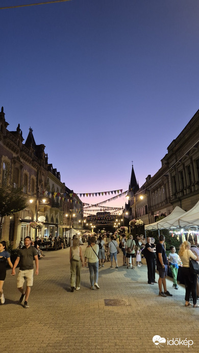 Kaposvár