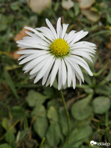 Nyíregyháza