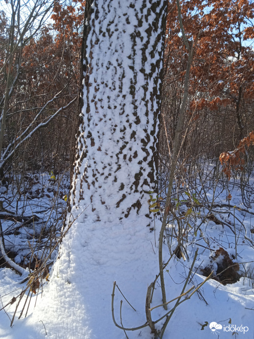 Volt egy kis hófúvás