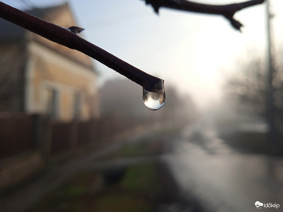 Reggeli ködös utca