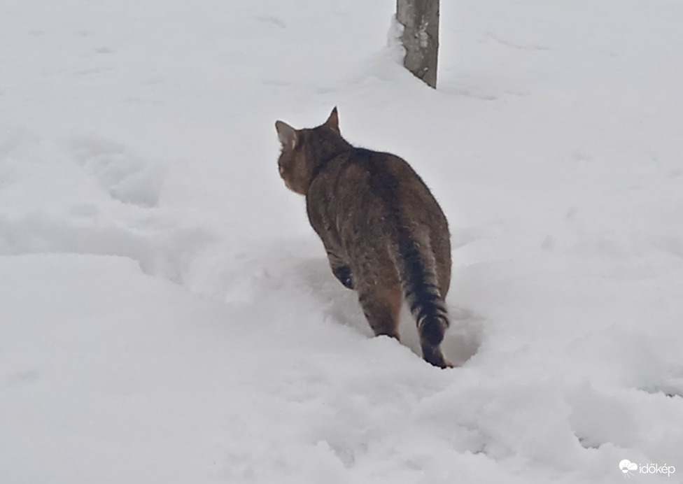 Ugrándozás a hóban