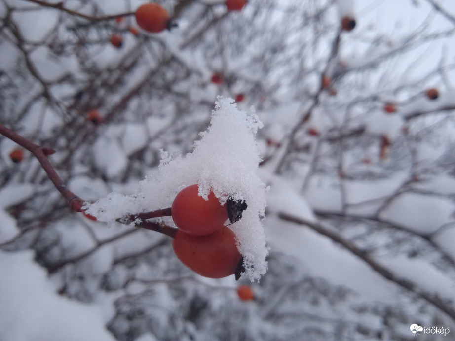 Tegnapi havas fotóim egyike