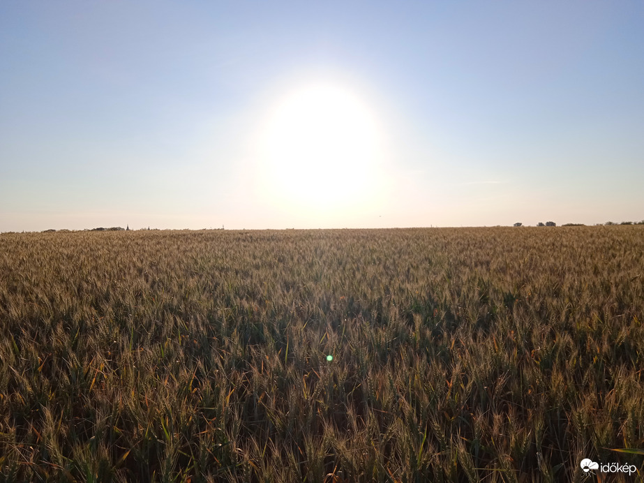 Pünkösd Bárándon