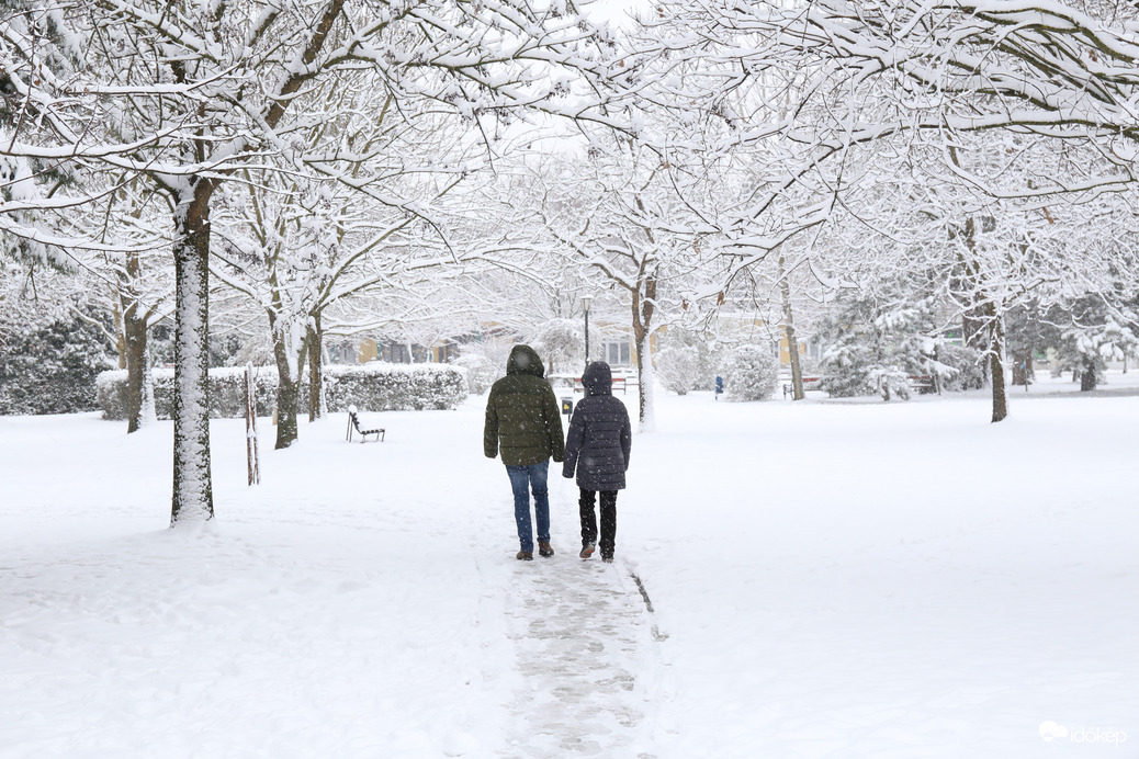 Téli séta a parkban!